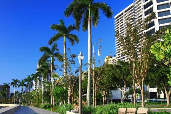 Top dryer vent cleaning services company in Palm Beach FL - View of a cleaner Palm Beach air environment after the job is done.